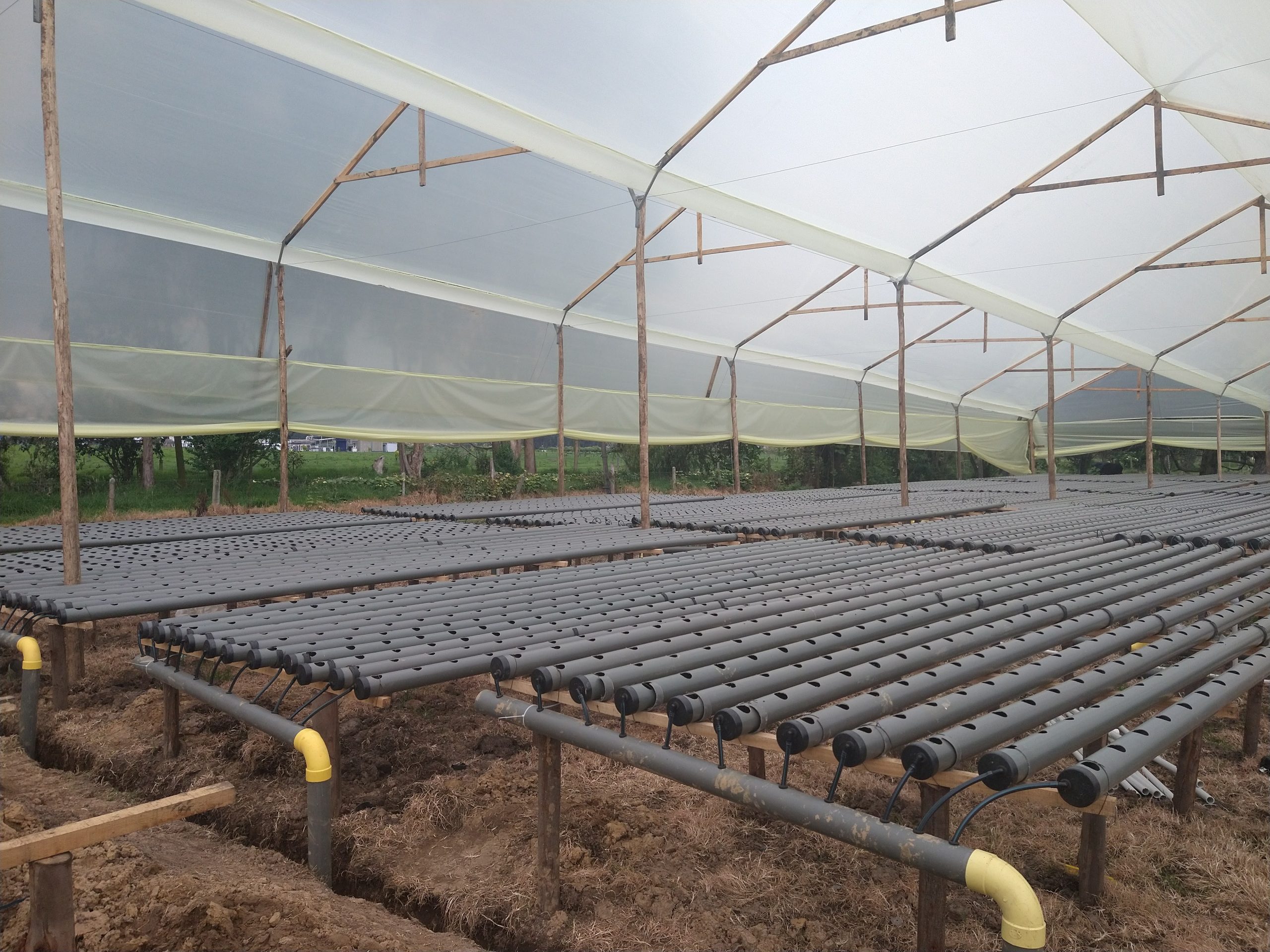 IMG_20220823_150456846